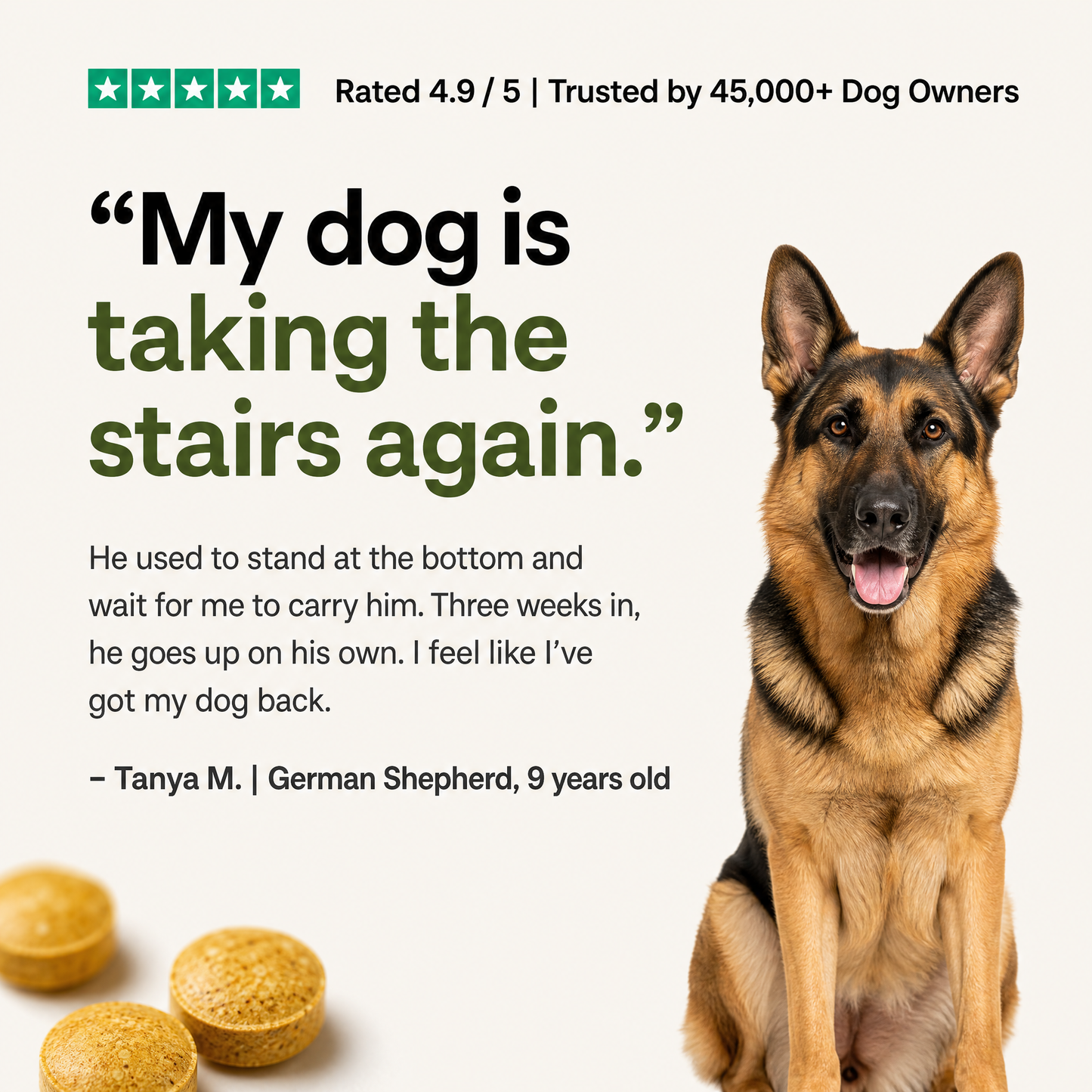 Help Your Dog Move More Comfortably with Turmeric Curcumin