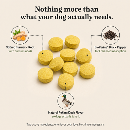 Help Your Dog Move More Comfortably with Turmeric Curcumin