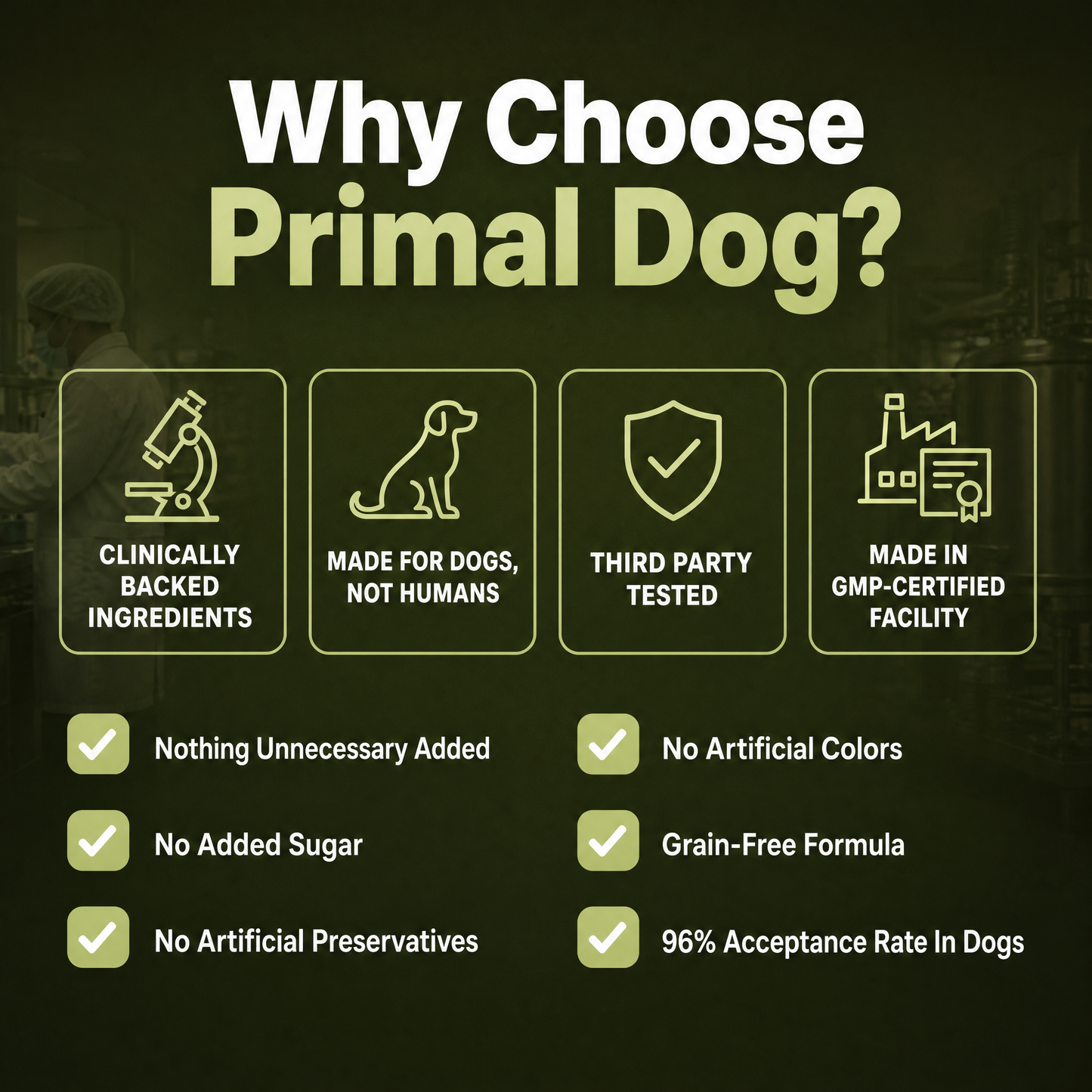 Help Your Dog Move More Comfortably with Turmeric Curcumin