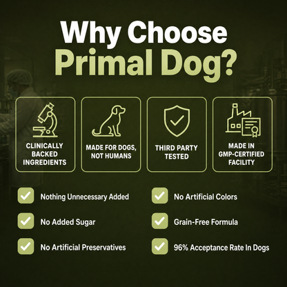 Help Your Dog Move More Comfortably with Turmeric Curcumin