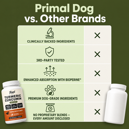 Help Your Dog Move More Comfortably with Turmeric Curcumin