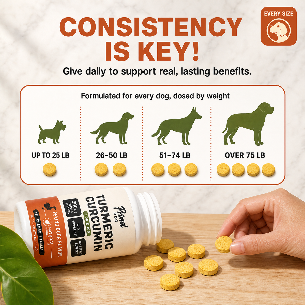 Turmeric Curcumin for Dogs